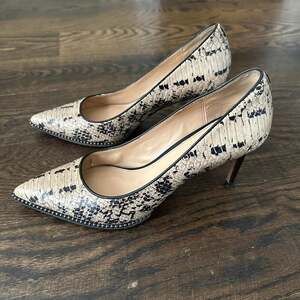 Coach Snakeskin Pointed Toe Pumps - Size 8B Heels